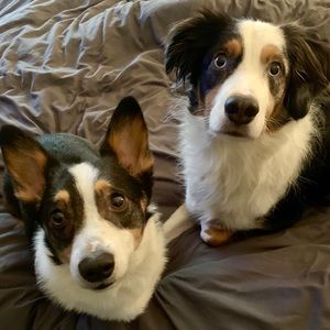 Meet your Posher, Kalebkaleb